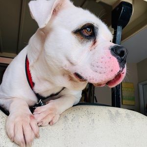 Meet your Posher, Whitney